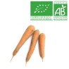 Carotte sable bio