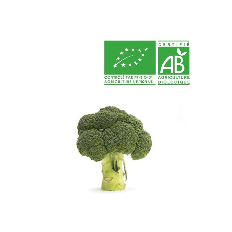 Brocoli bio Brocoli bio