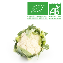 Chou fleur bio