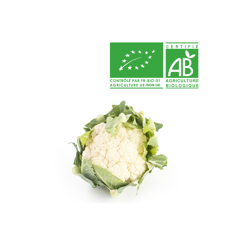 Chou fleur bio Chou fleur bio