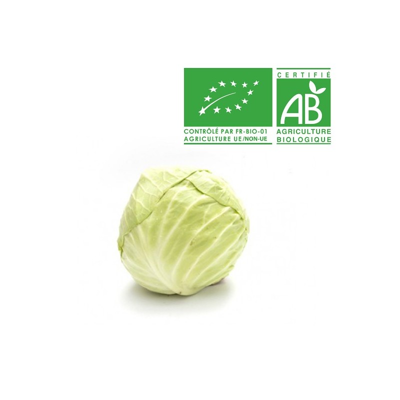 Chou vert bio Chou vert bio