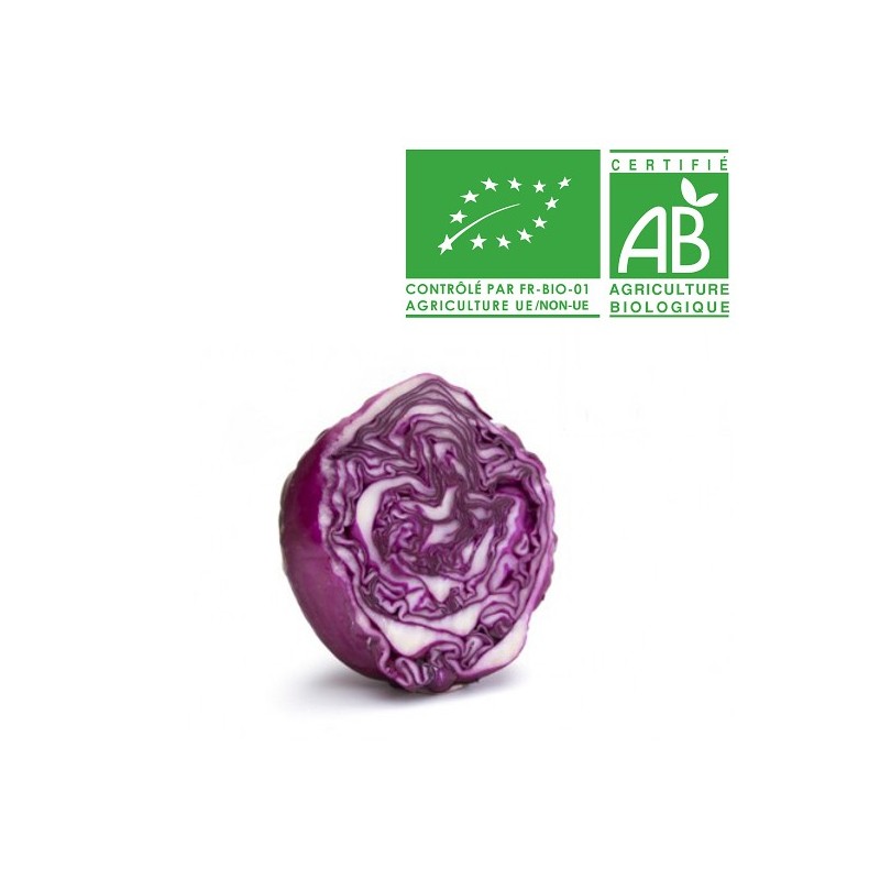 Chou rouge bio Chou rouge bio