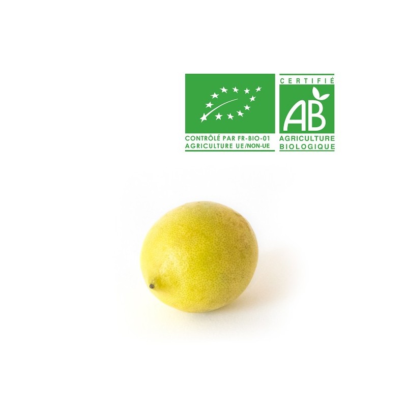 Citron jaune bio Citron jaune bio
