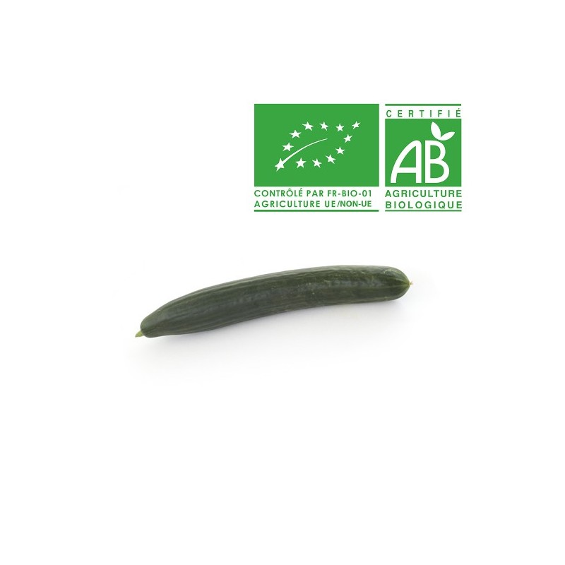 Concombre bio Concombre bio