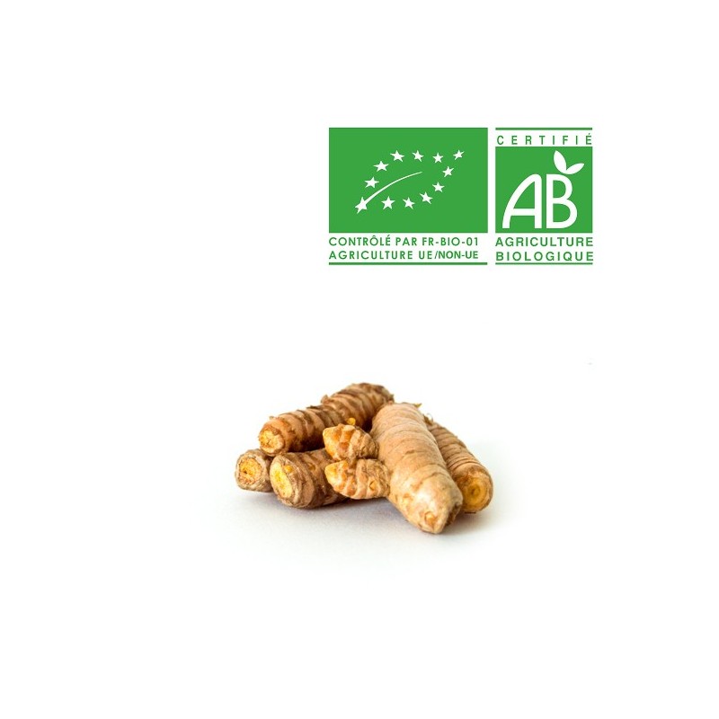 Curcuma bio Curcuma bio