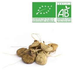 Figue Balama bio