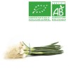 Oignons blancs bio