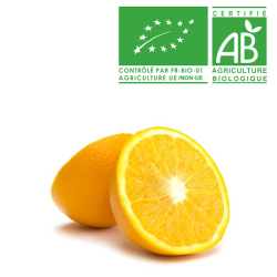 Orange à jus bio
