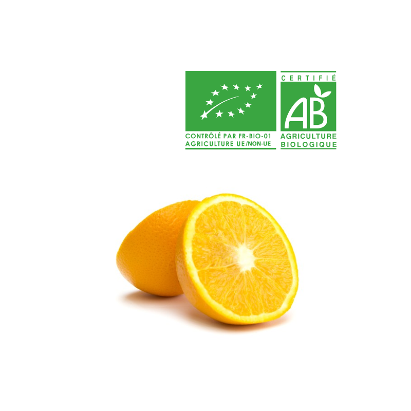 Orange à jus bio