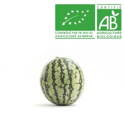Pastèques tigrée bio