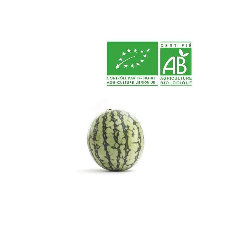 Pastèques tigrée bio
