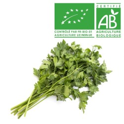 Persil Bio