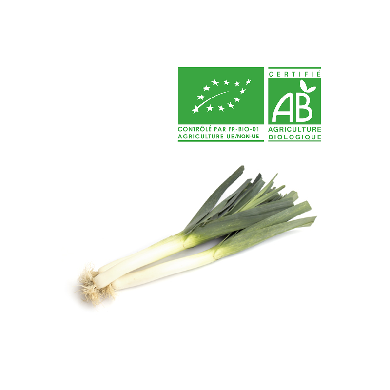 Poireau nouveau BIo Poireau nouveau BIo