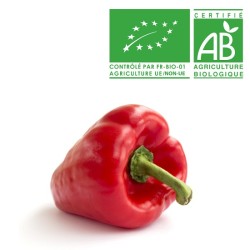 Poivron rouge bio