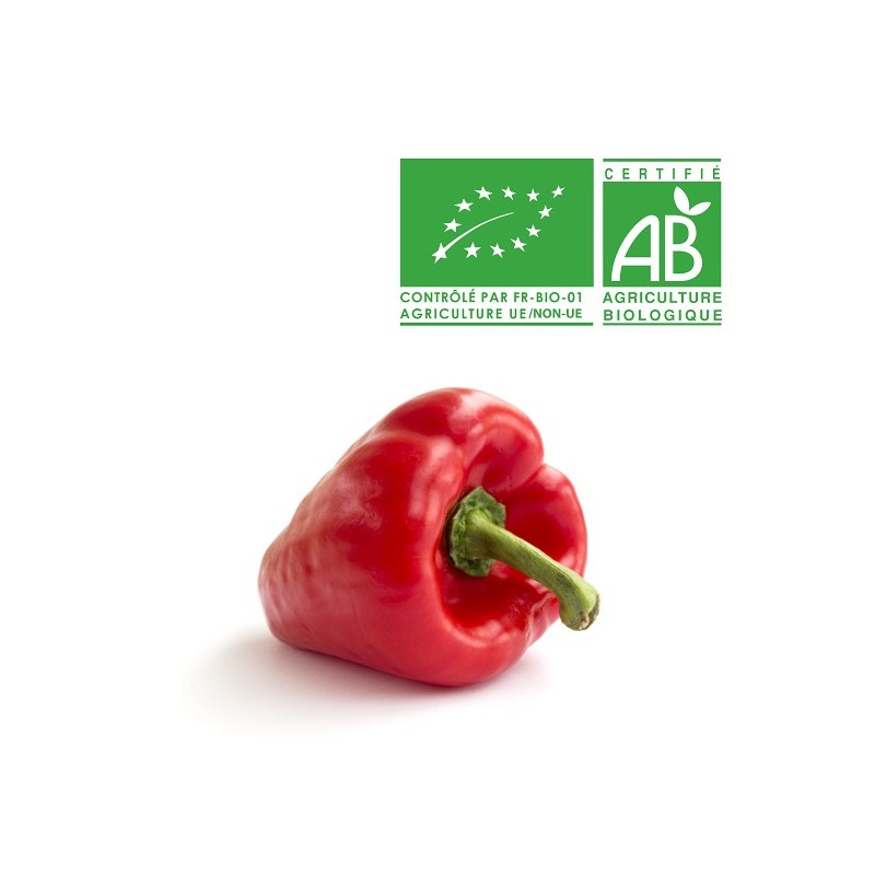 Poivron rouge bio Poivron rouge bio