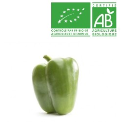 Poivron vert vio