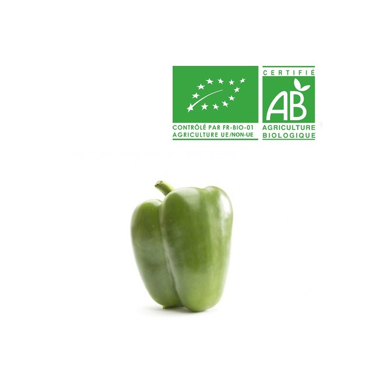 Poivron vert vio Poivron vert vio