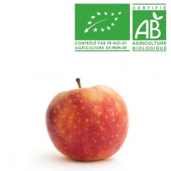 Pomme Ariane en conversion bio