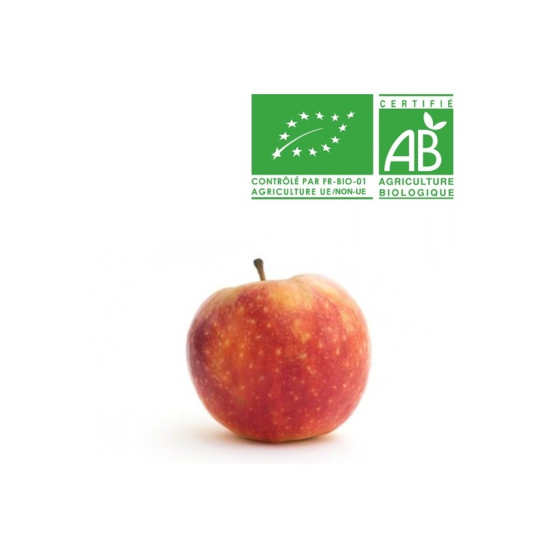 Pomme Ariane en conversion bio Pomme Ariane en conversion bio