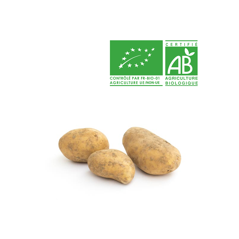 Pommes de terre Allians bio Pommes de terre Allians bio