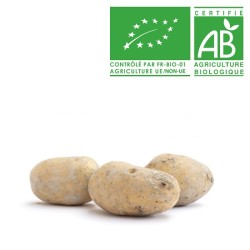 Pommes de terre Binjte bio