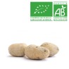 Pommes de terre Binjte bio