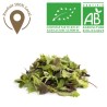 Salades Mesclum bio
