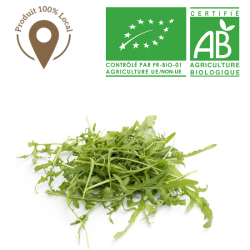 Salades Roquette bio
