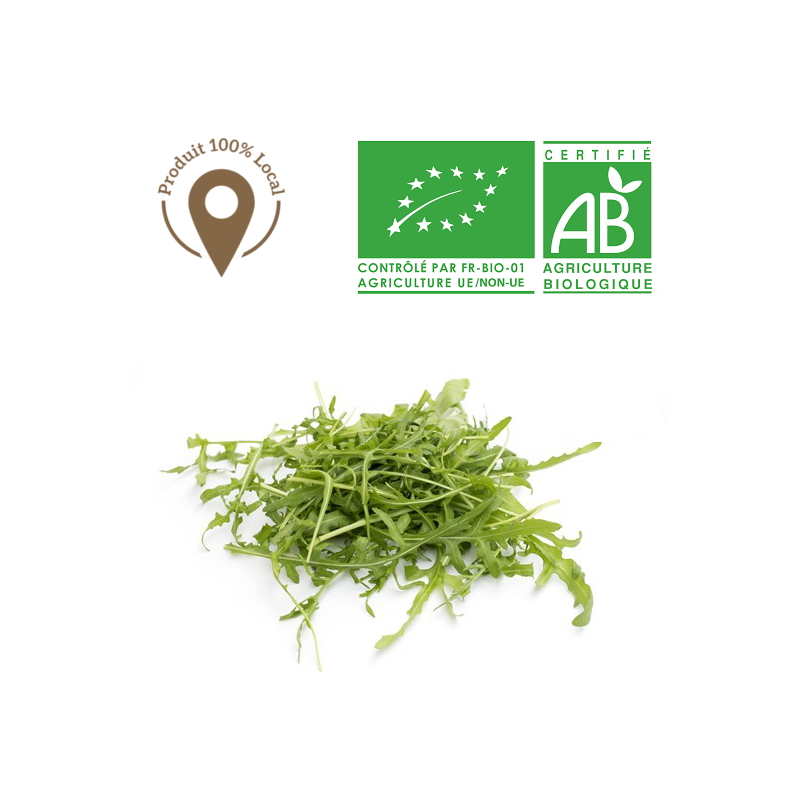 Salades Roquette bio Salades Roquette bio