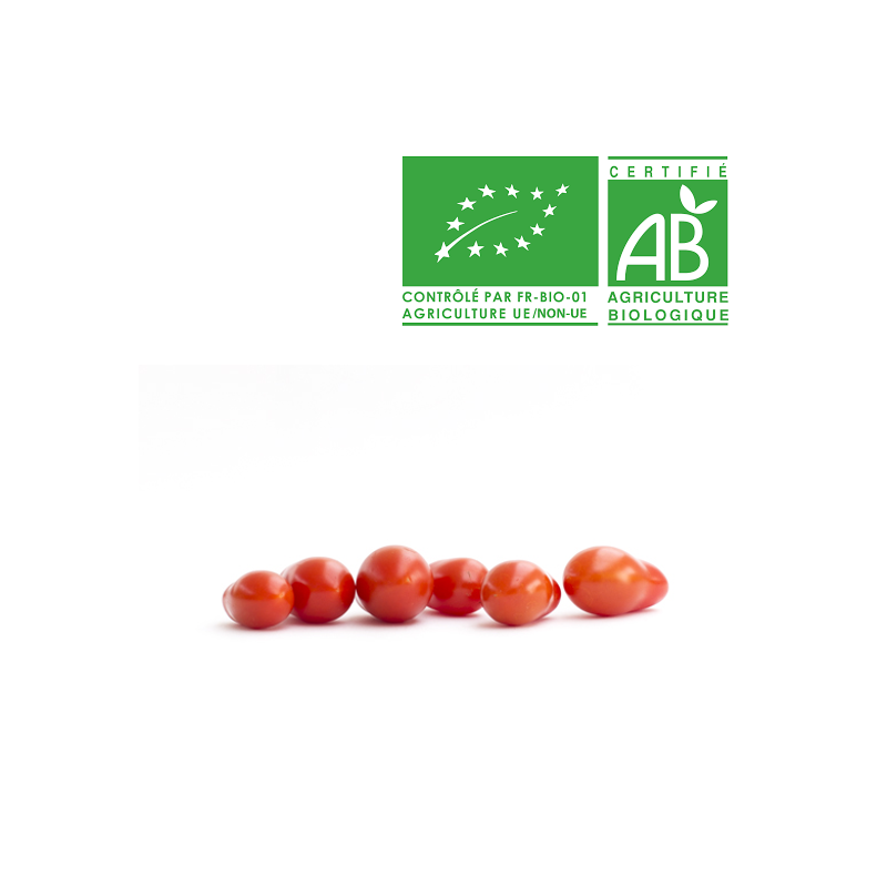 Tomates Coeur de pigeon Tomates Coeur de pigeon