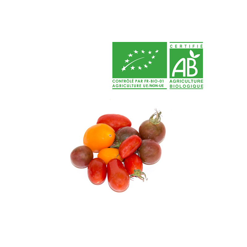 Tomate cerise Bio