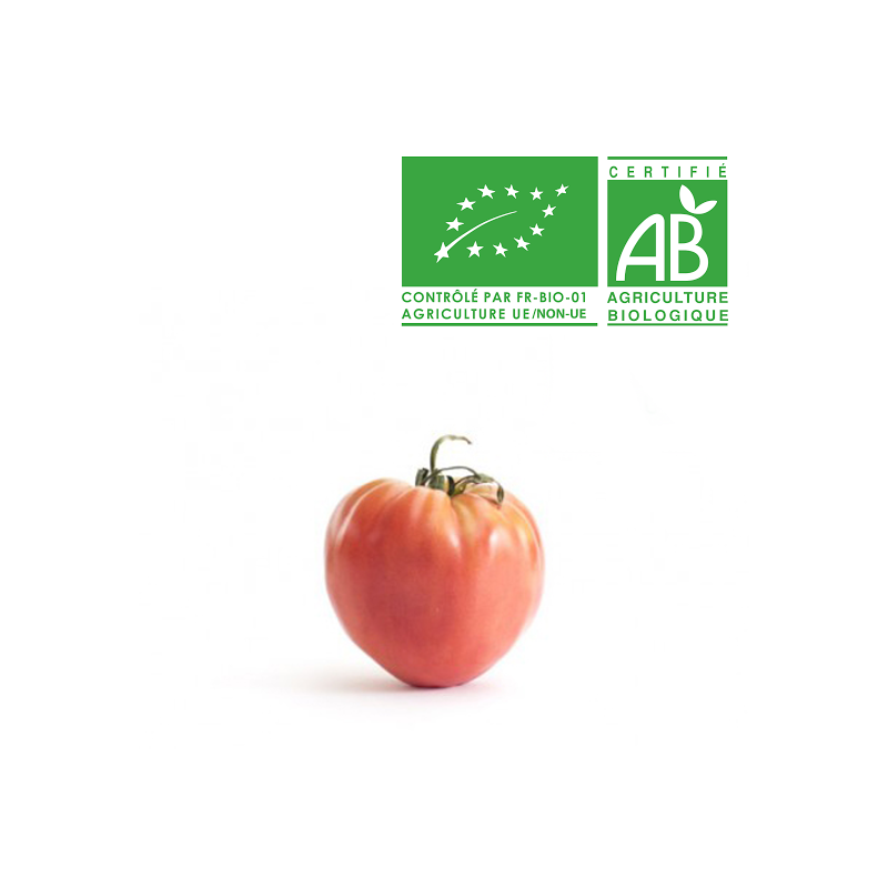 Tomates Coeur de Boeuf bio Tomates Coeur de Boeuf bio