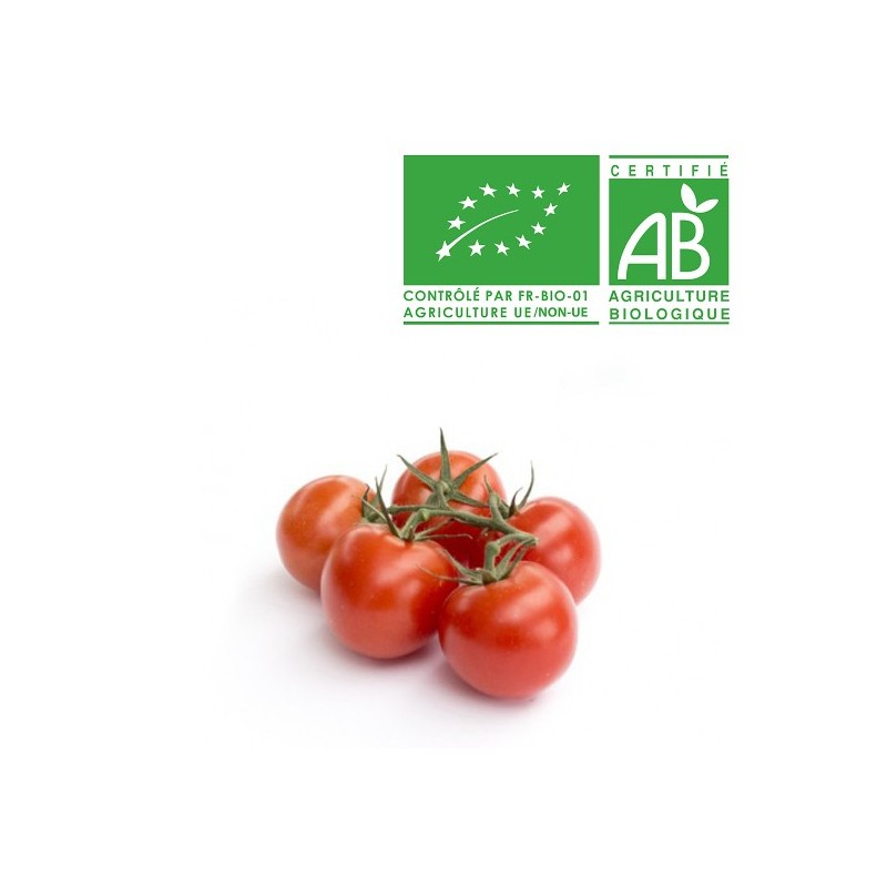 Tomates grappe bio