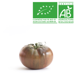 Tomates Noire de crimée bio