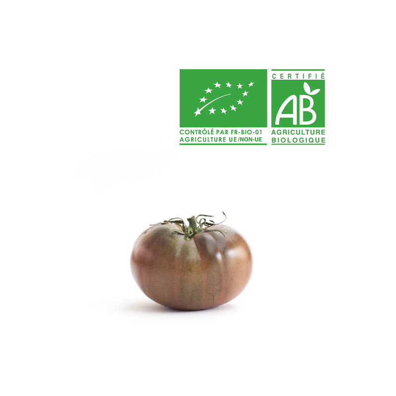 Tomates Noire de crimée bio