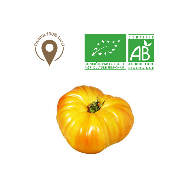 Tomate ananas bio