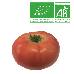 Tomates rondes rose bio