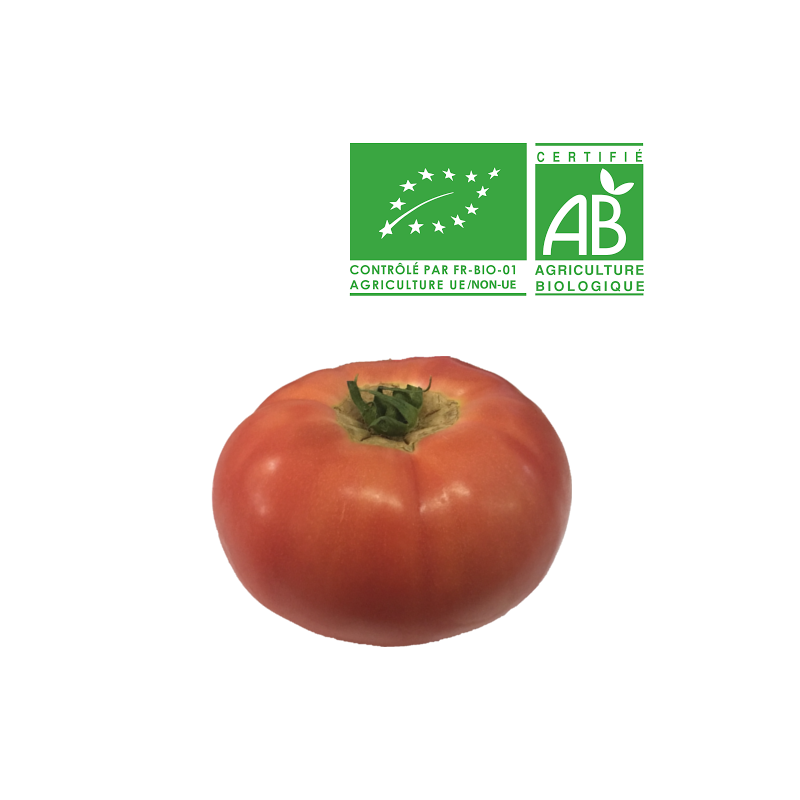 Tomates rondes rose bio