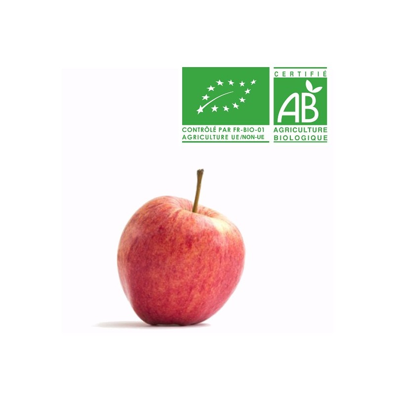 Pommes Gala bio Pommes Gala bio