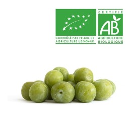 Prune Reine Claude en conversion bio