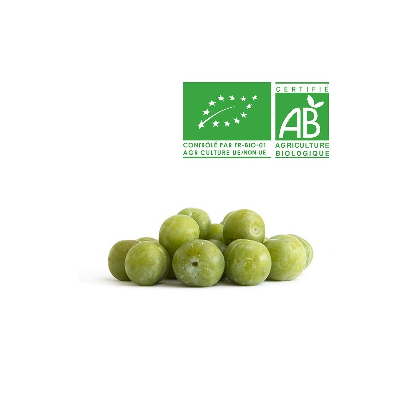 Prune Reine Claude en conversion bio Prune Reine Claude en conversion bio