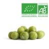 Prune Reine Claude en conversion bio