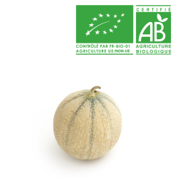 Melons Charentais jaune bio