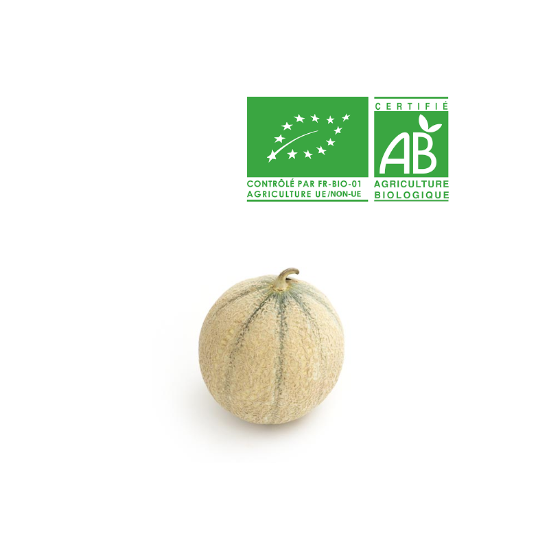 Melons Charentais jaune bio Melons Charentais jaune bio