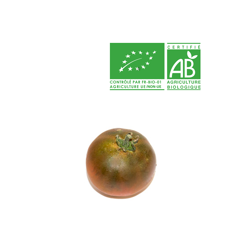 Tomate Cacao bio Tomate Cacao bio