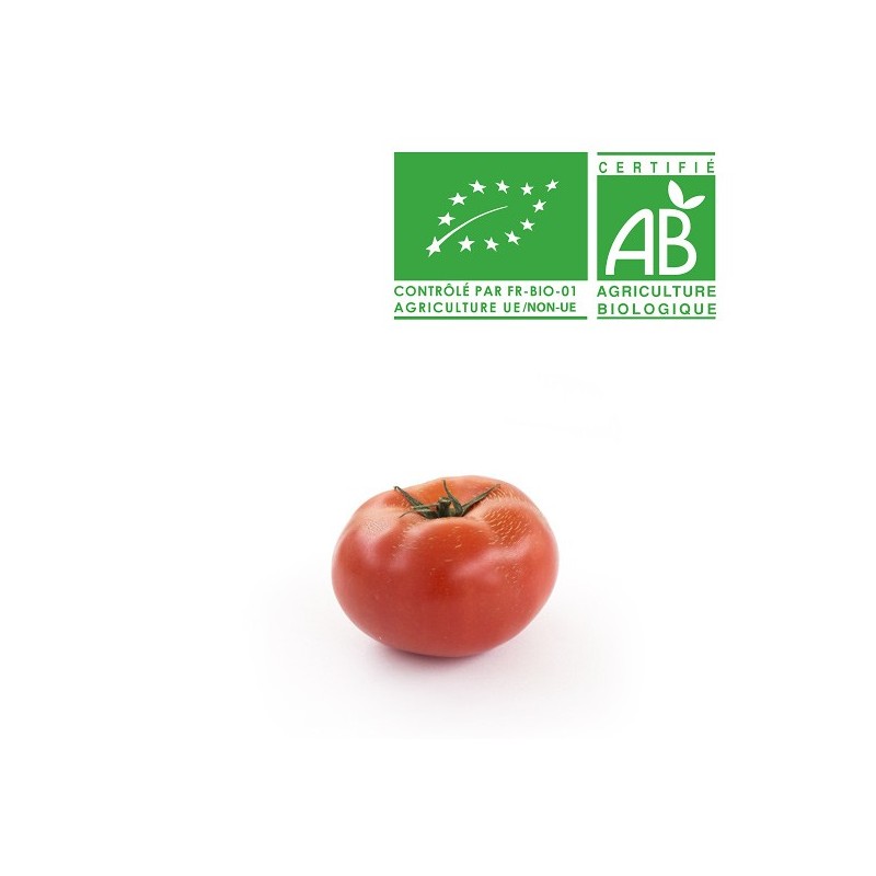 Tomates rondes bio Tomates rondes bio
