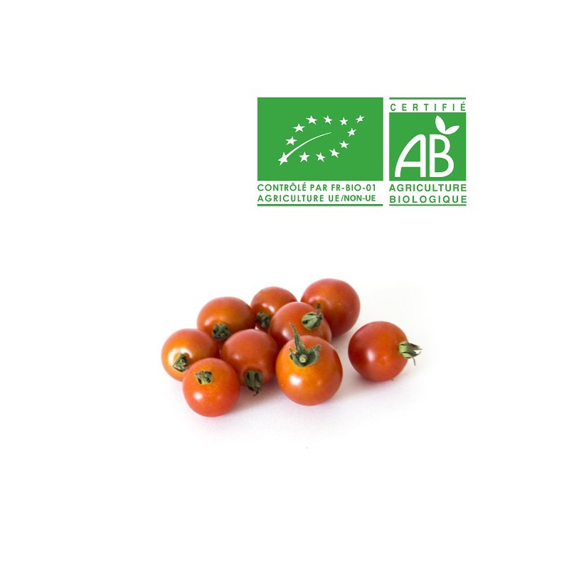 Tomate cerise Bio Tomate cerise Bio