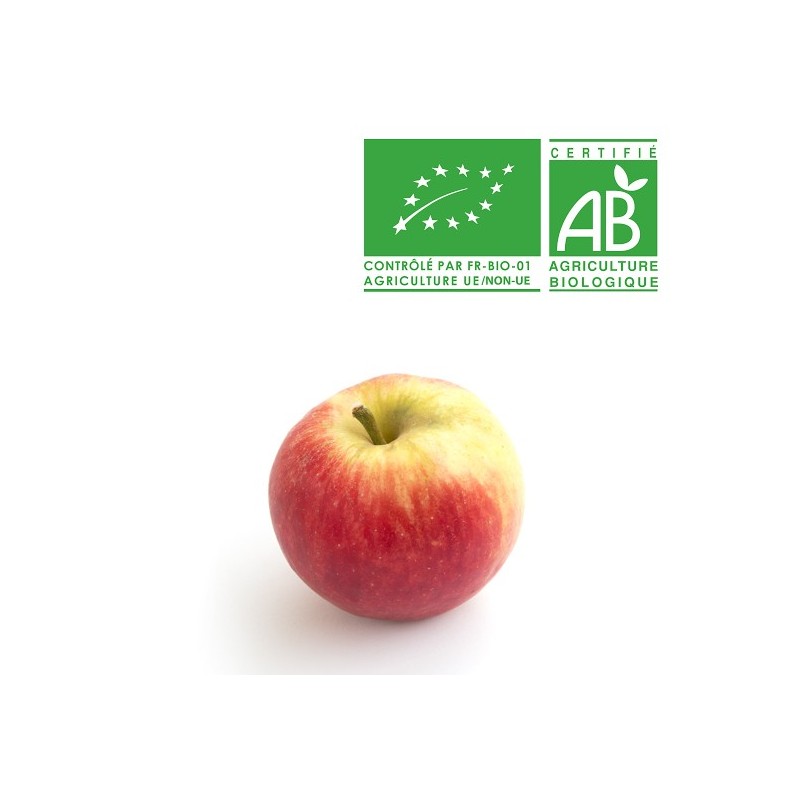 Pomme Elstar bio Pomme Elstar bio