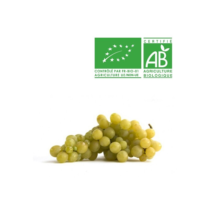 Raisin Ora Bio Raisin Ora Bio