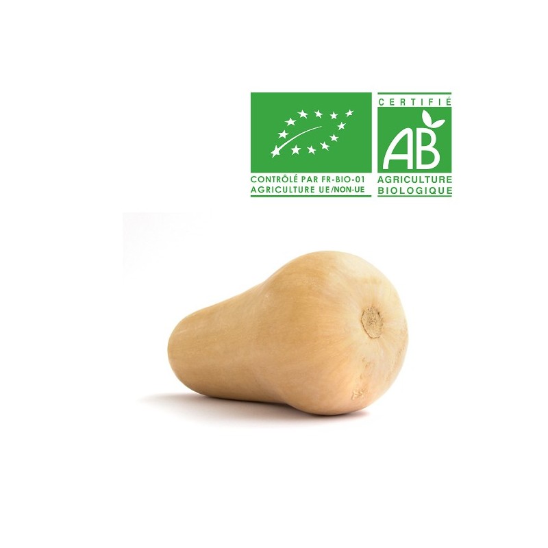 Butternut Bio Butternut Bio